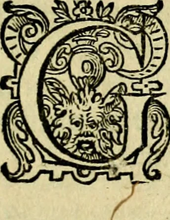 An illustration from Emblemata Florentii Schoonhovii, partim moralia, partim etiam civilia. Cum latiori eorundem ejusdem auctoris interpretatione. Accedunt et alia quædam poëmatia in alijs poëmatum suorum libris non contenta, 1618, leaf 6