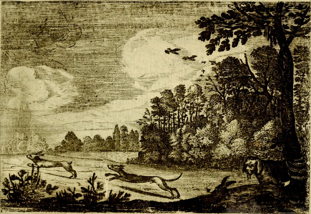 An illustration from Emblemata Florentii Schoonhovii, partim moralia, partim etiam civilia. Cum latiori eorundem ejusdem auctoris interpretatione. Accedunt et alia quædam poëmatia in alijs poëmatum suorum libris non contenta, 1618, leaf 64