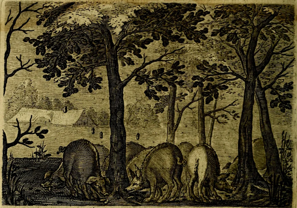 An illustration from Emblemata Florentii Schoonhovii ... partim moralia partim etiam civilia. Cum latiori eorundem ejusdem Auctoris interpretatione. Accedunt et alia quaedam poëmatia in alijs poem̈atum suonum libris non contenta, 1648, leaf 223