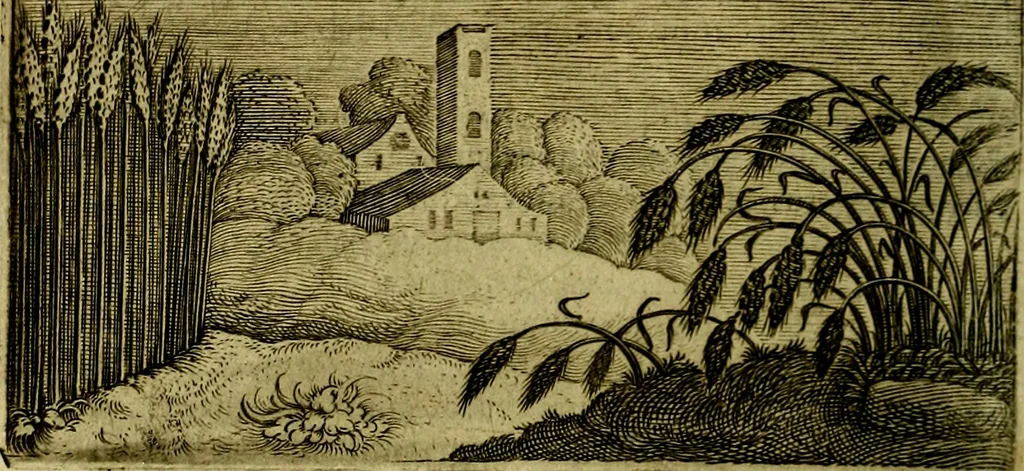 An illustration from Emblemata Florentii Schoonhovii ... partim moralia partim etiam civilia. Cum latiori eorundem ejusdem Auctoris interpretatione. Accedunt et alia quaedam poëmatia in alijs poem̈atum suonum libris non contenta, 1648, leaf 231