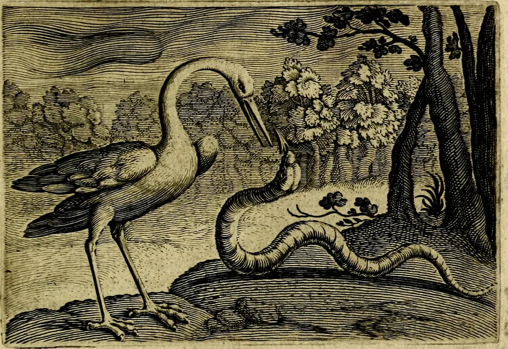 An illustration from Emblemata Florentii Schoonhovii ... partim moralia partim etiam civilia. Cum latiori eorundem ejusdem Auctoris interpretatione. Accedunt et alia quaedam poëmatia in alijs poem̈atum suonum libris non contenta, 1648, leaf 92