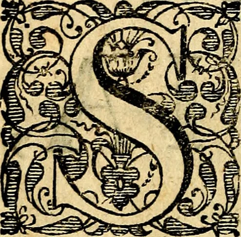 An illustration from Emblemata moralia, 1697, leaf 11