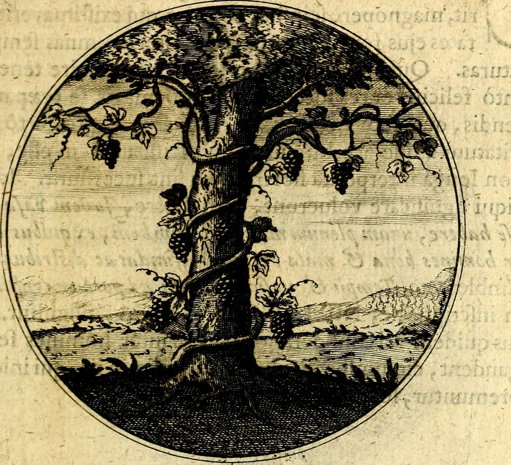 An illustration from Emblemata moralia, 1697, leaf 124