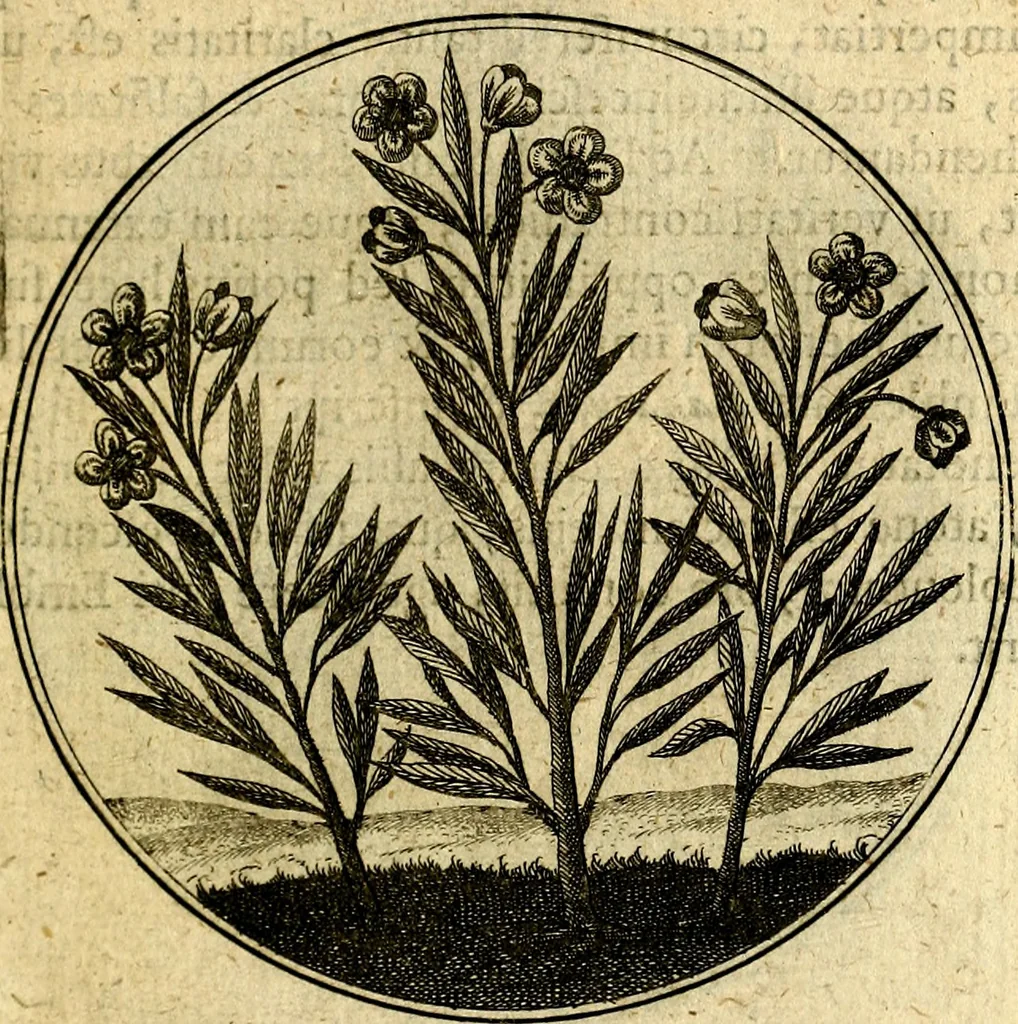 An illustration from Emblemata moralia, 1697, leaf 132