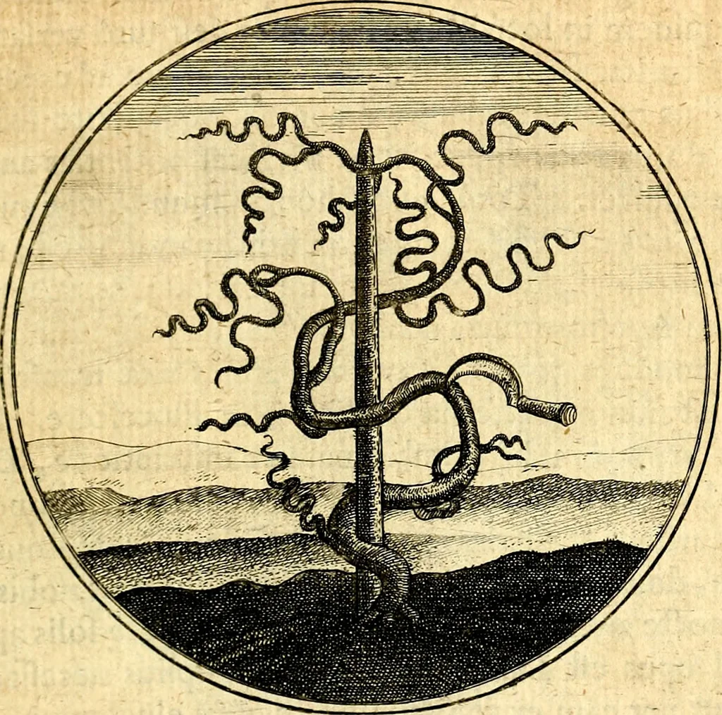 An illustration from Emblemata moralia, 1697, leaf 138