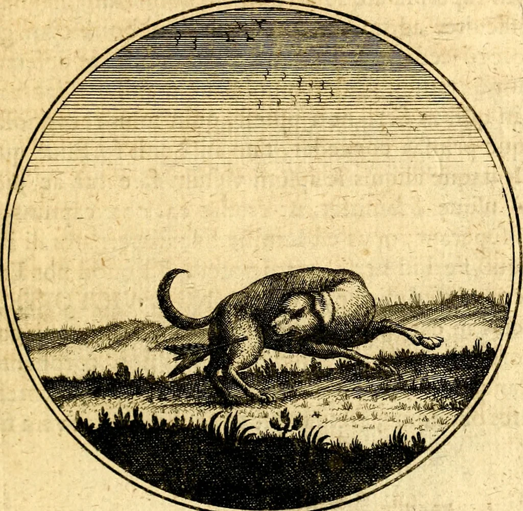 An illustration from Emblemata moralia, 1697, leaf 164