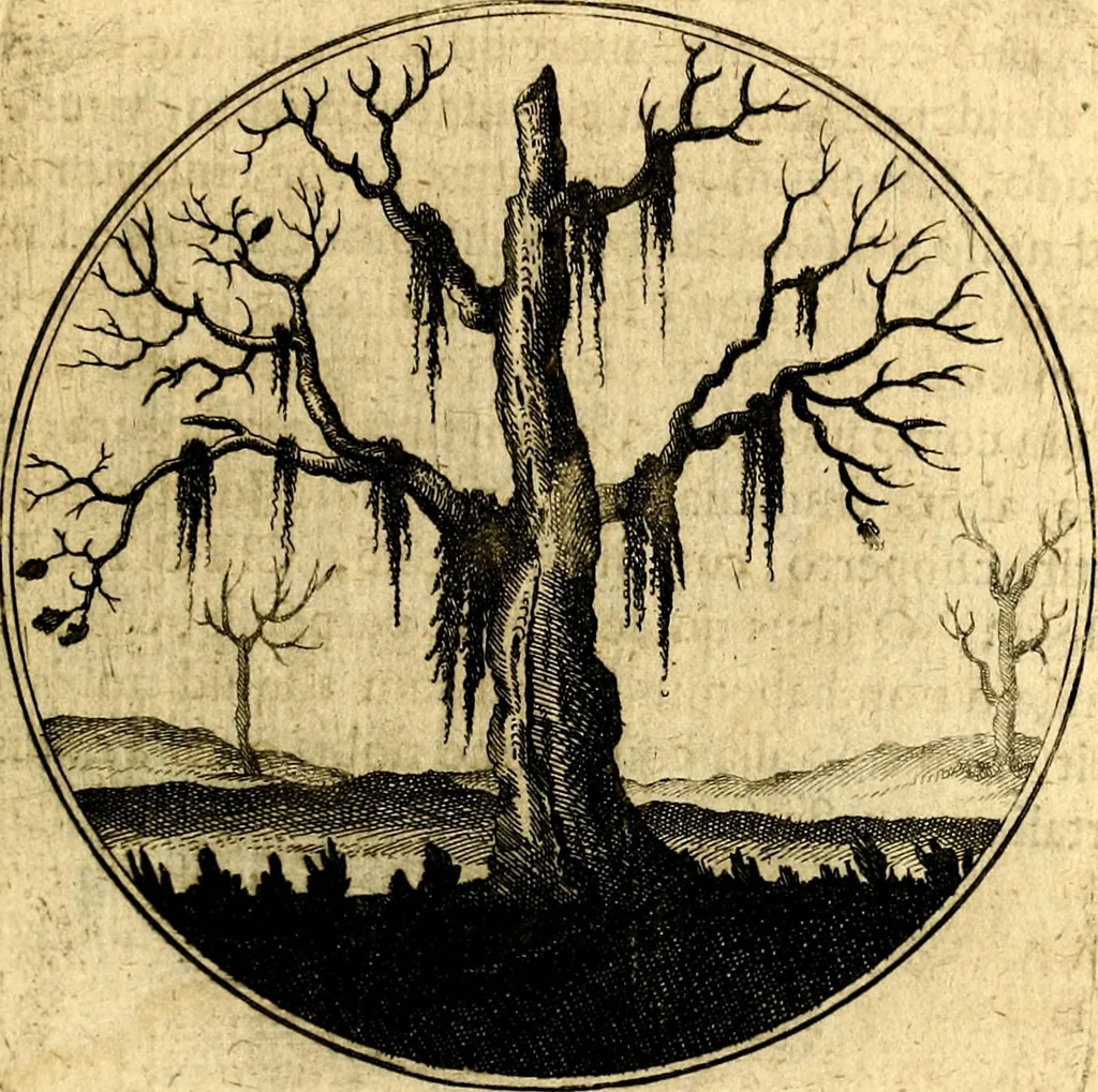 An illustration from Emblemata moralia, 1697, leaf 168