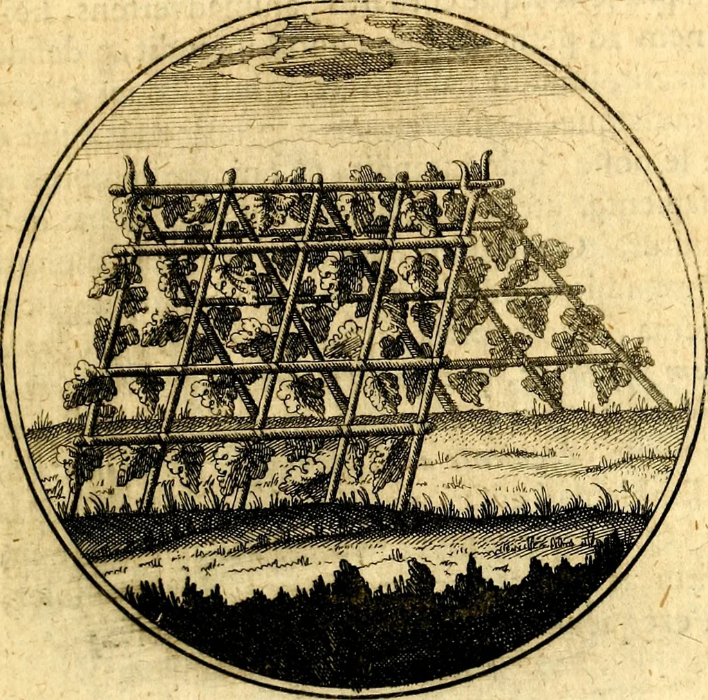 An illustration from Emblemata moralia, 1697, leaf 170