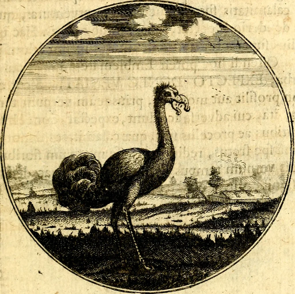 An illustration from Emblemata moralia, 1697, leaf 188