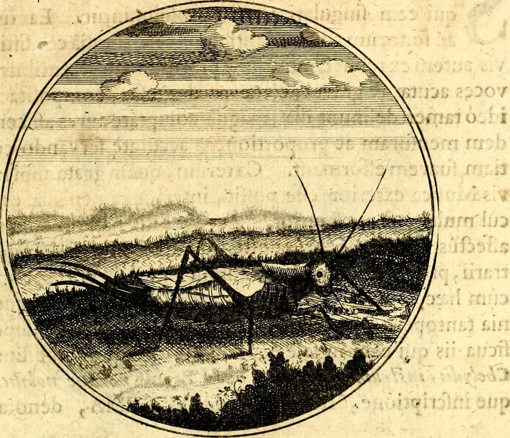 An illustration from Emblemata moralia, 1697, leaf 190