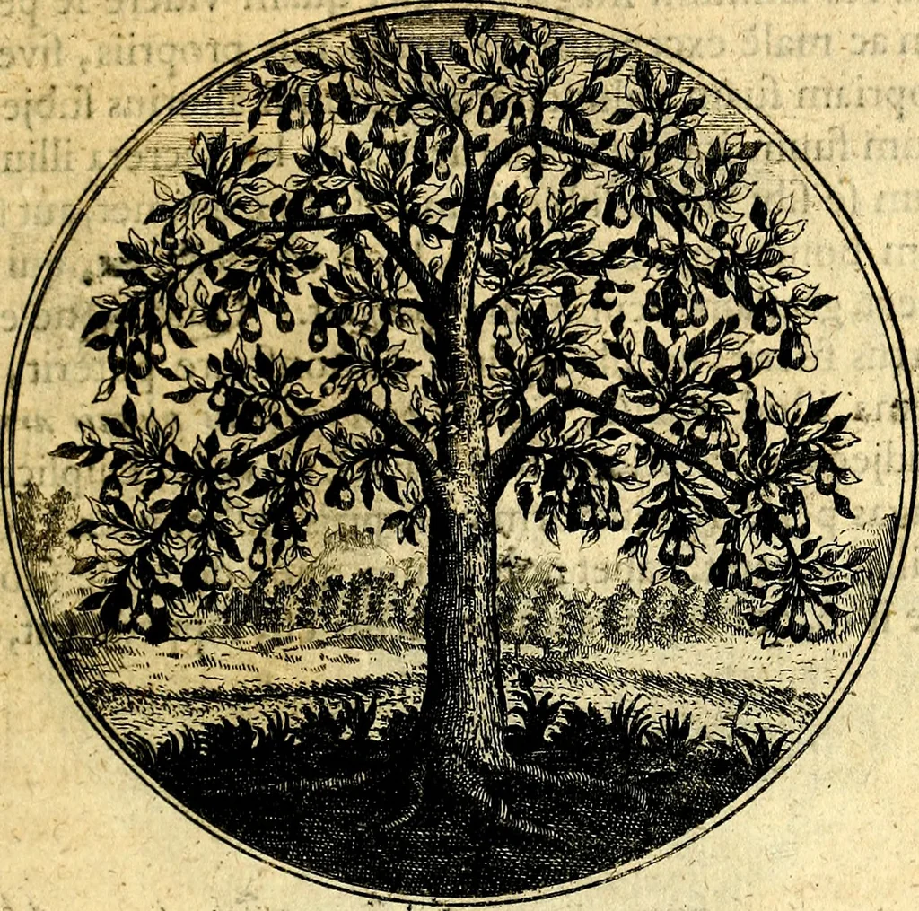 An illustration from Emblemata moralia, 1697, leaf 26