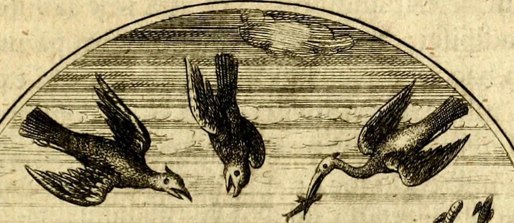 An illustration from Emblemata moralia, 1697, leaf 52