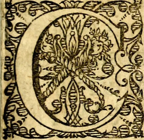 An illustration from Emblemata moralia, 1697, leaf 6