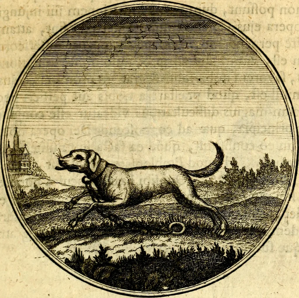 An illustration from Emblemata moralia, 1697, leaf 72