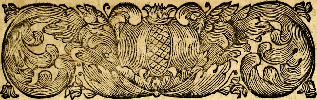 An illustration from Emblemata moralia, 1697, leaf 8