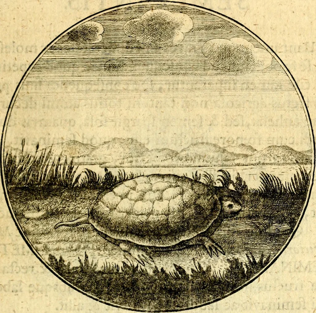 An illustration from Emblemata moralia, 1697, leaf 92