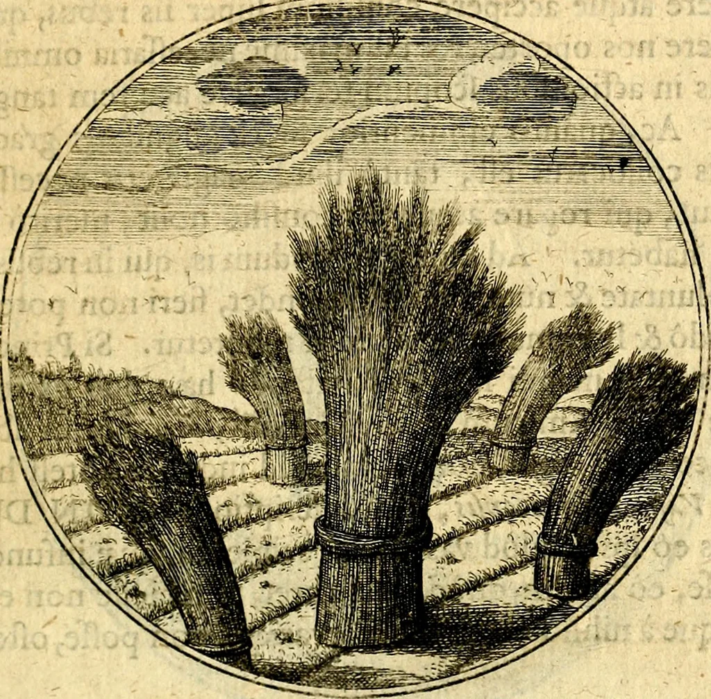 An illustration from Emblemata moralia, 1697, leaf 94
