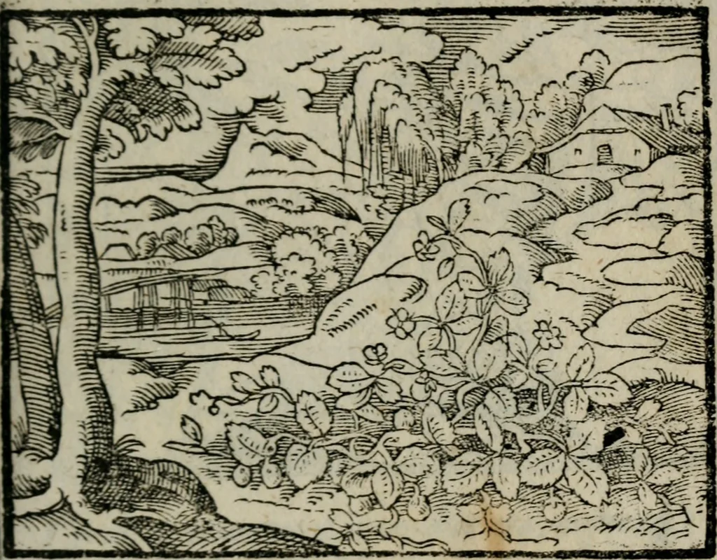 An illustration from Emblemata physico-ethica, hoc est, Naturae morum moderatricis picta praecepta : à Nicolao Taurello Montbelgardensi ... observata, & vario conscripta carmine, 1602, leaf 100