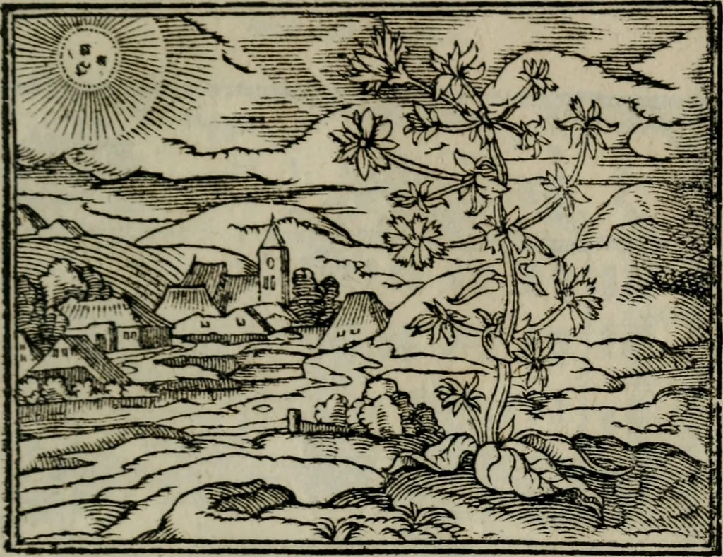 An illustration from Emblemata physico-ethica, hoc est, Naturae morum moderatricis picta praecepta : à Nicolao Taurello Montbelgardensi ... observata, & vario conscripta carmine, 1602, leaf 110