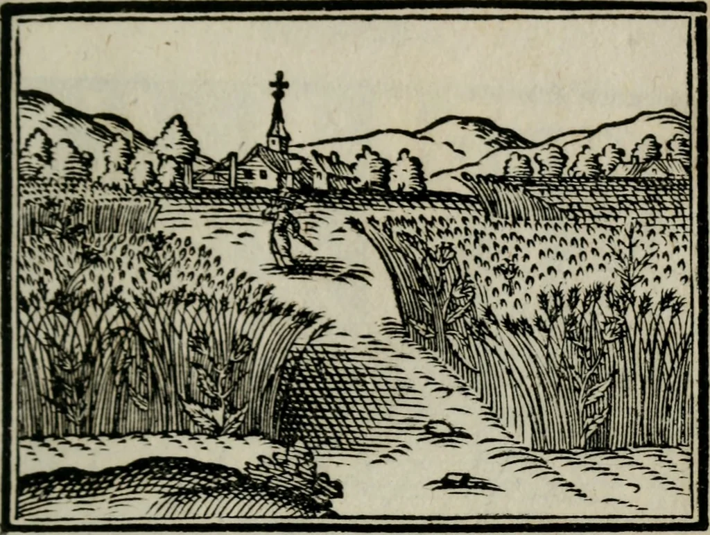 An illustration from Emblemata physico-ethica, hoc est, Naturae morum moderatricis picta praecepta : à Nicolao Taurello Montbelgardensi ... observata, & vario conscripta carmine, 1602, leaf 158