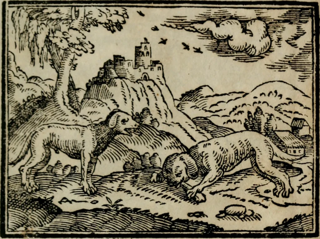 An illustration from Emblemata physico-ethica, hoc est, Naturae morum moderatricis picta praecepta : à Nicolao Taurello Montbelgardensi ... observata, & vario conscripta carmine, 1602, leaf 188