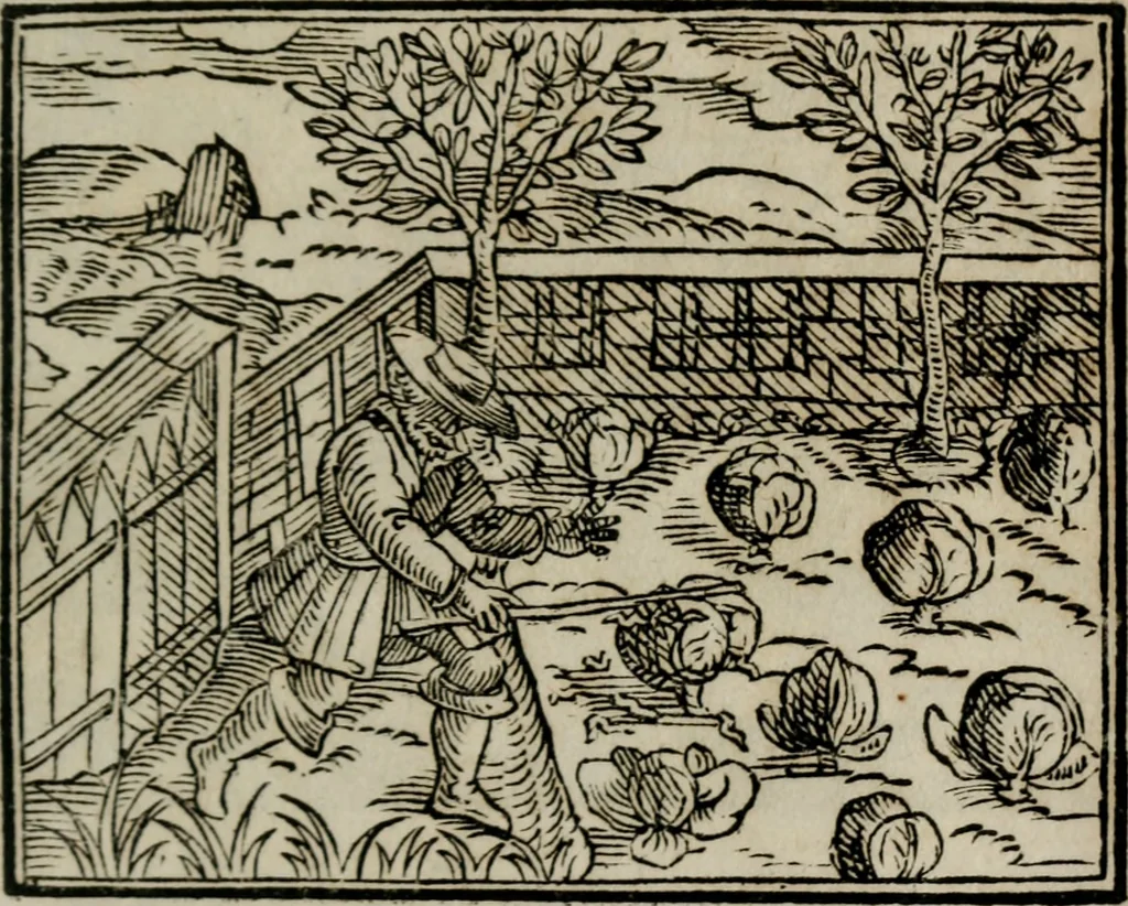An illustration from Emblemata physico-ethica, hoc est, Naturae morum moderatricis picta praecepta : à Nicolao Taurello Montbelgardensi ... observata, & vario conscripta carmine, 1602, leaf 234