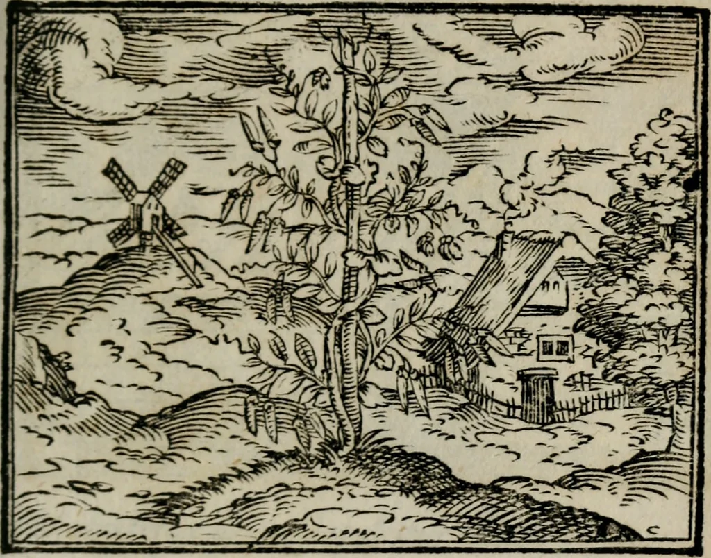 An illustration from Emblemata physico-ethica, hoc est, Naturae morum moderatricis picta praecepta : à Nicolao Taurello Montbelgardensi ... observata, & vario conscripta carmine, 1602, leaf 238