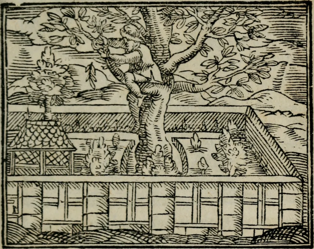 An illustration from Emblemata physico-ethica, hoc est, Naturae morum moderatricis picta praecepta : à Nicolao Taurello Montbelgardensi ... observata, & vario conscripta carmine, 1602, leaf 242