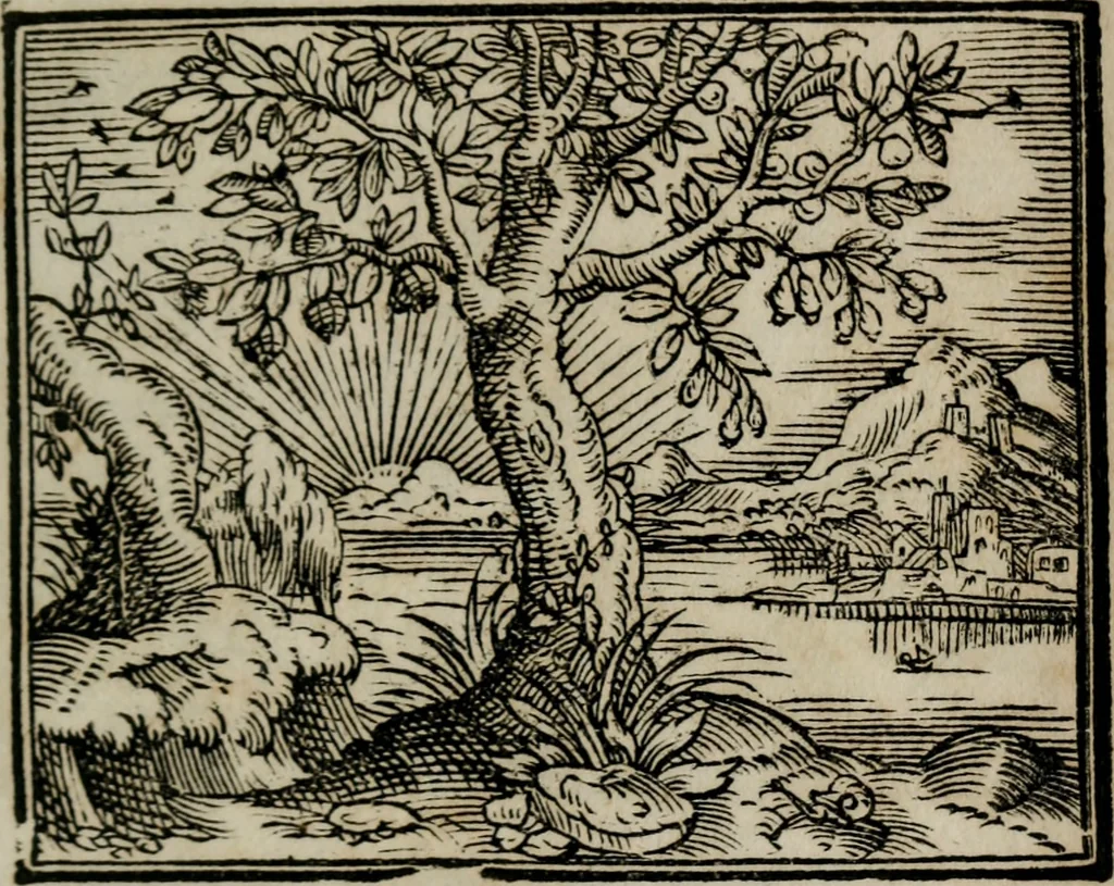 An illustration from Emblemata physico-ethica, hoc est, Naturae morum moderatricis picta praecepta : à Nicolao Taurello Montbelgardensi ... observata, & vario conscripta carmine, 1602, leaf 270