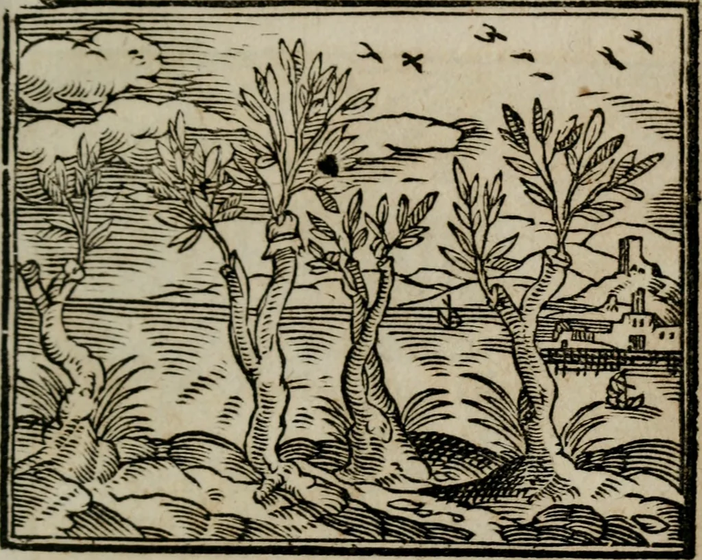 An illustration from Emblemata physico-ethica, hoc est, Naturae morum moderatricis picta praecepta : à Nicolao Taurello Montbelgardensi ... observata, & vario conscripta carmine, 1602, leaf 272