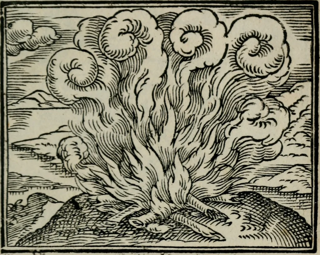 An illustration from Emblemata physico-ethica, hoc est, Naturae morum moderatricis picta praecepta : à Nicolao Taurello Montbelgardensi ... observata, & vario conscripta carmine, 1602, leaf 278