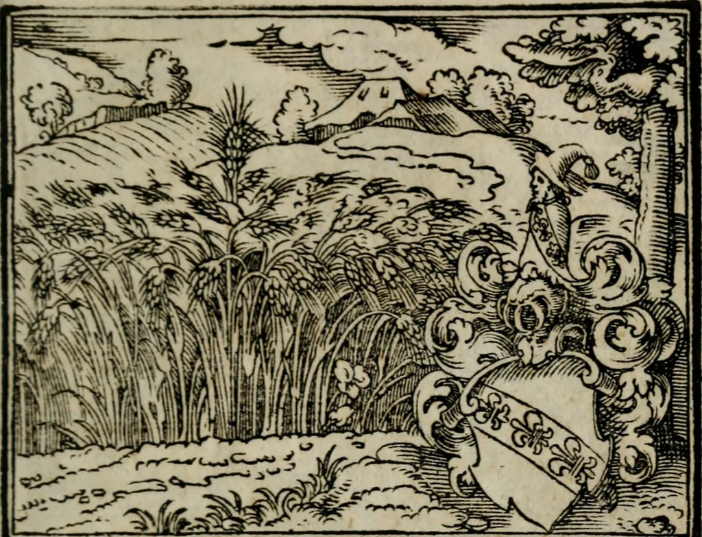 An illustration from Emblemata physico-ethica, hoc est, Naturae morum moderatricis picta praecepta : à Nicolao Taurello Montbelgardensi ... observata, & vario conscripta carmine, 1602, leaf 58