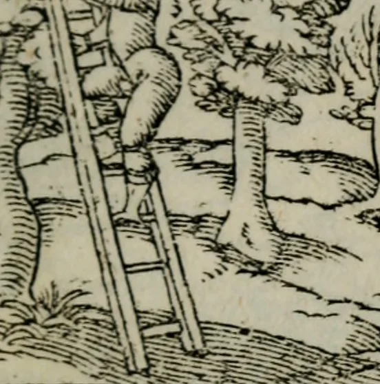 An illustration from Emblemata physico-ethica, hoc est, Naturae morum moderatricis picta praecepta : à Nicolao Taurello Montbelgardensi ... observata, & vario conscripta carmine, 1602, leaf 98