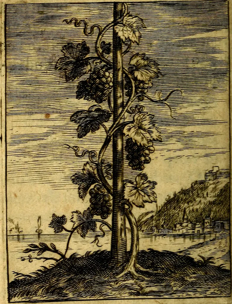 An illustration from Emblemata politica & Orationes. Ex officina, 1635, leaf 125