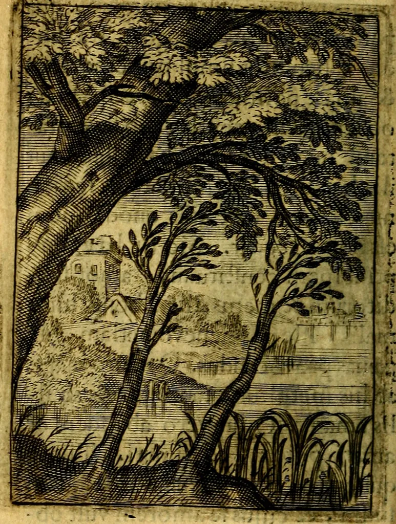 An illustration from Emblemata politica & Orationes. Ex officina, 1635, leaf 129