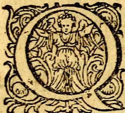 An illustration from Emblemata politica & Orationes. Ex officina, 1635, leaf 193