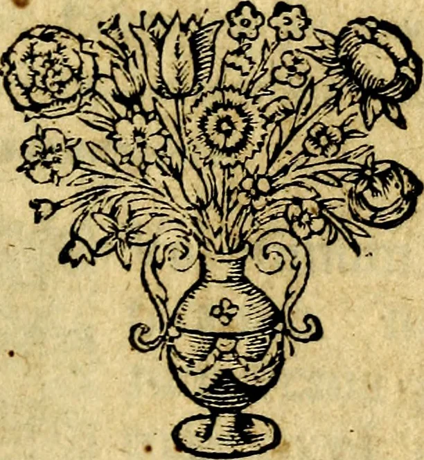 An illustration from Emblemata politica & Orationes. Ex officina, 1635, leaf 2