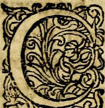 An illustration from Emblemata politica & Orationes. Ex officina, 1635, leaf 4
