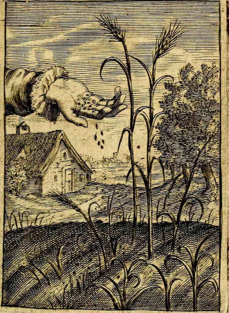 An illustration from Emblemata politica & Orationes. Ex officina, 1635, leaf 40