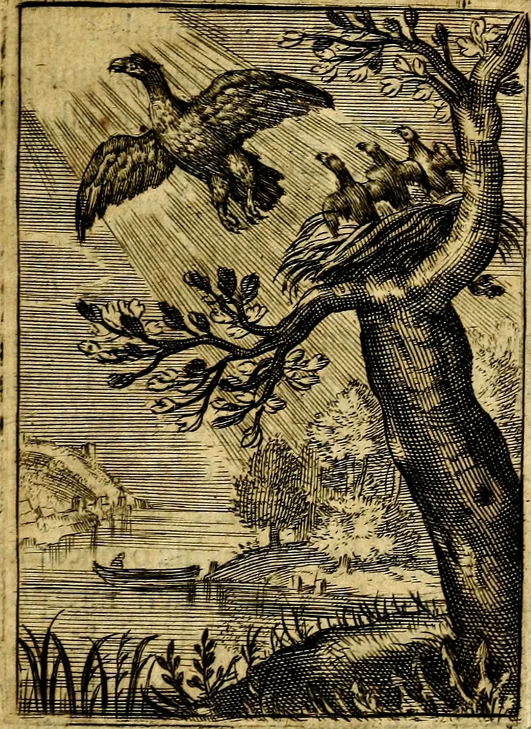An illustration from Emblemata politica & Orationes. Ex officina, 1635, leaf 62