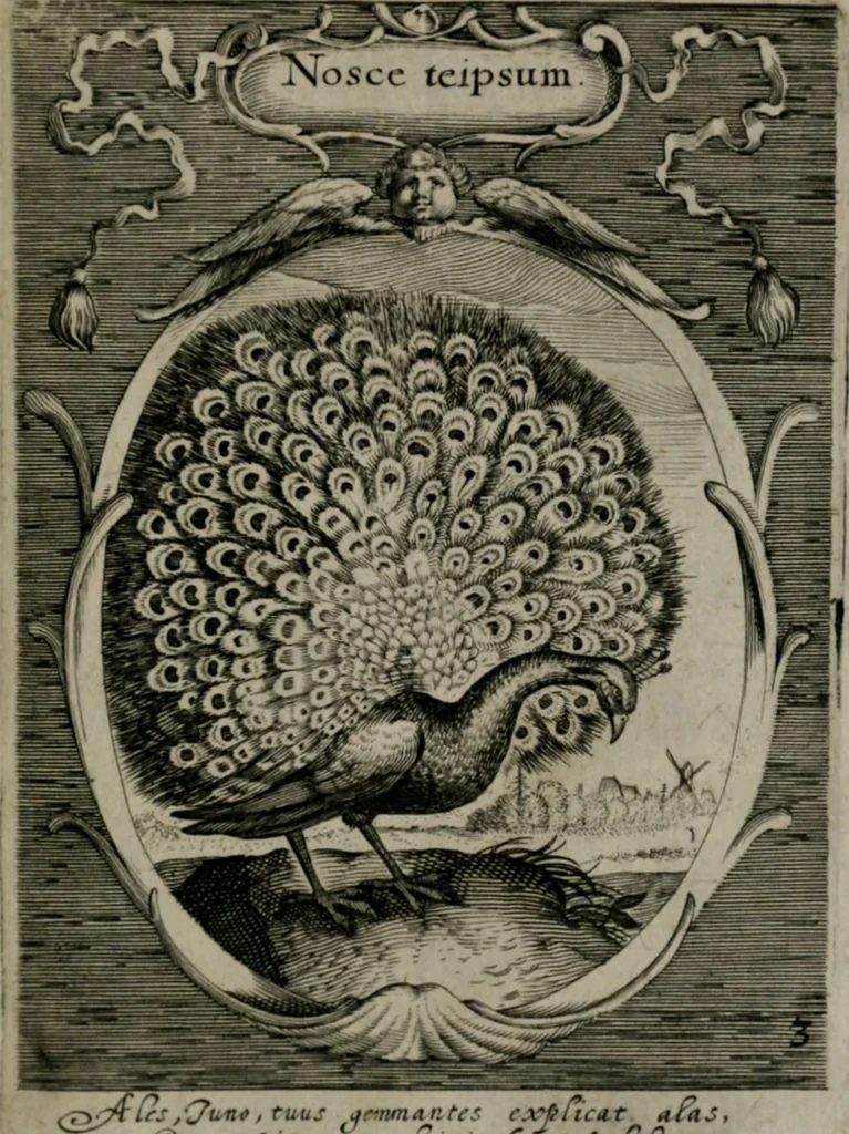 An illustration from Emblemata politica : in aula magna Curiæ Norinbergensis depicta : quæ sacra virtutum suggerunt monita prudenter administrandi fortiterque defendendi rempublicam, 1617, leaf 24