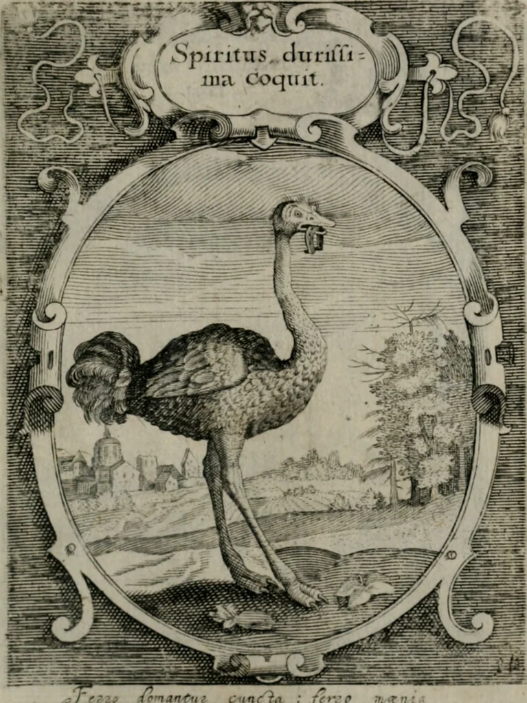 An illustration from Emblemata politica : in aula magna Curiæ Norinbergensis depicta : quæ sacra virtutum suggerunt monita prudenter administrandi fortiterque defendendi rempublicam, 1617, leaf 50