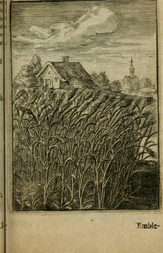 An illustration from Emblemata politica, 1632, leaf 26
