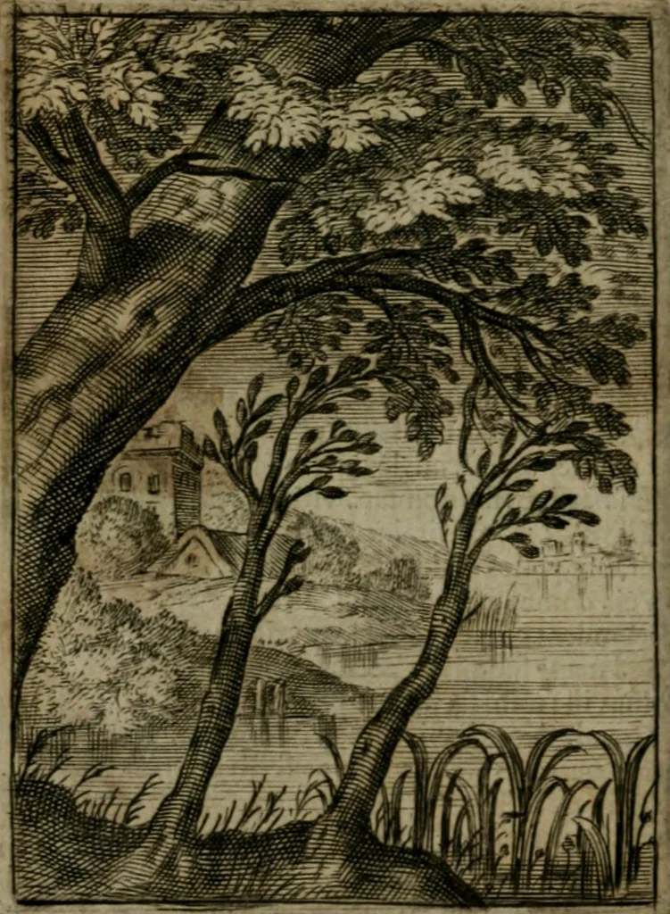 An illustration from Emblemata politica, 1632, leaf 29
