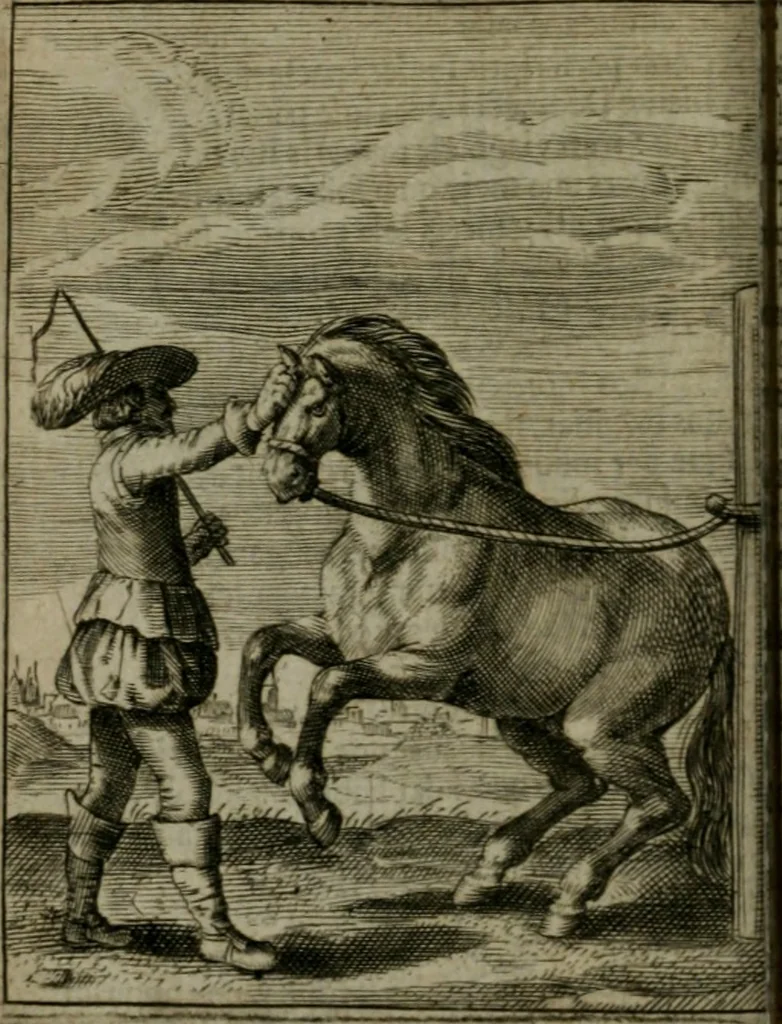 An illustration from Emblemata politica, 1632, leaf 49