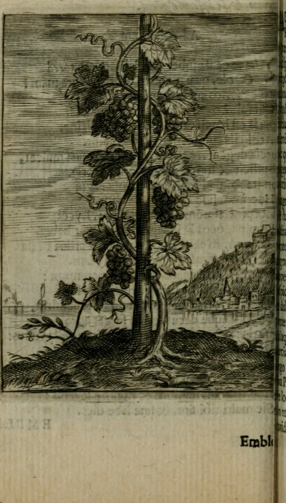 An illustration from Emblemata politica, 1632, leaf 77