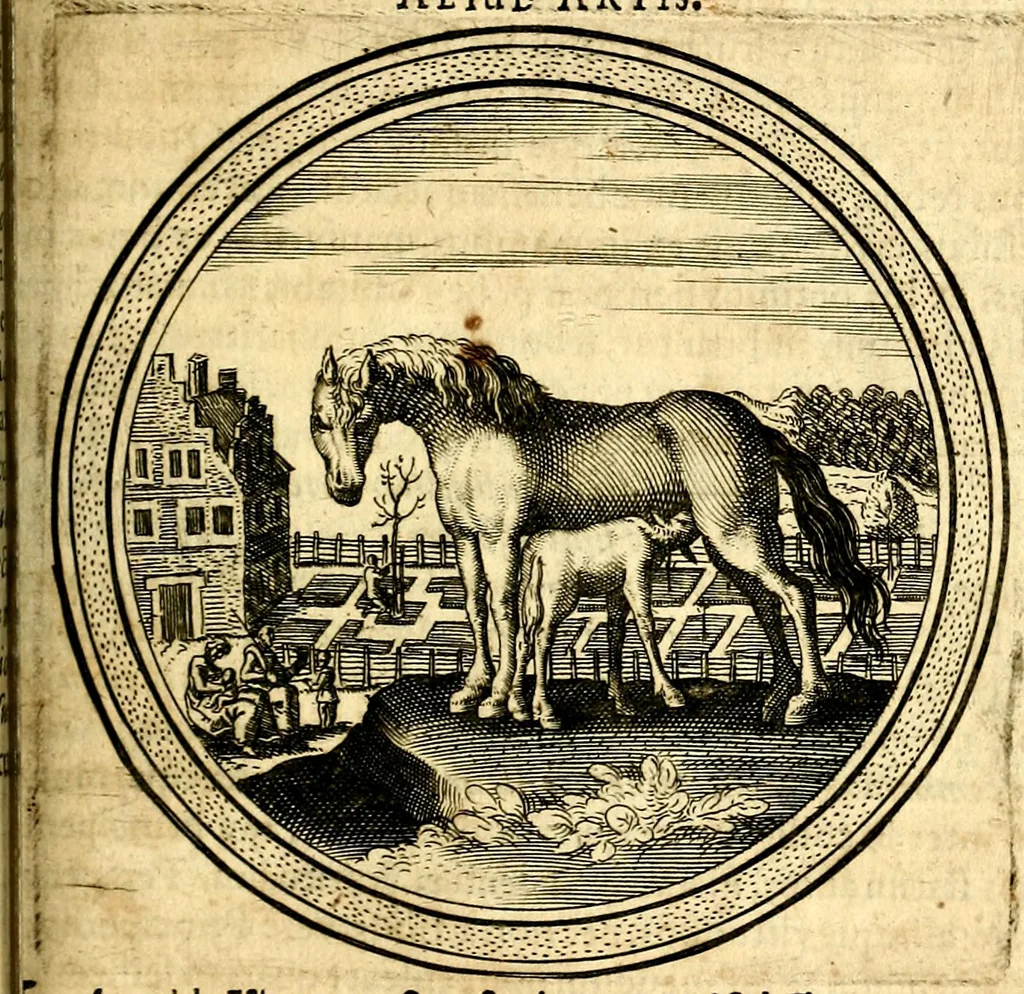 An illustration from Emblemata politica. Quibus ea, quae ad principatum spectant breviter demonstrantur singulor vero explicatio fusius proponitur. Opus novum, 1618, leaf 86