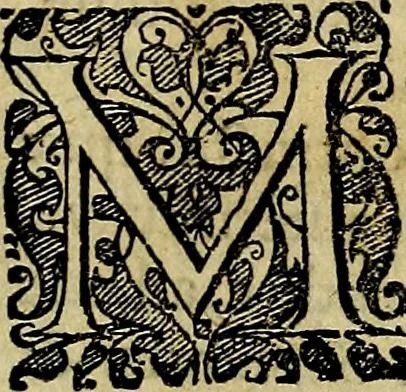 An illustration from Emblemata politica : in aula magna Curiae Noribergensis depicta, quae sacra viritutum suggerunt monita prudenter administrandi fortiterque defendendi rempublicam, 1617, leaf 12