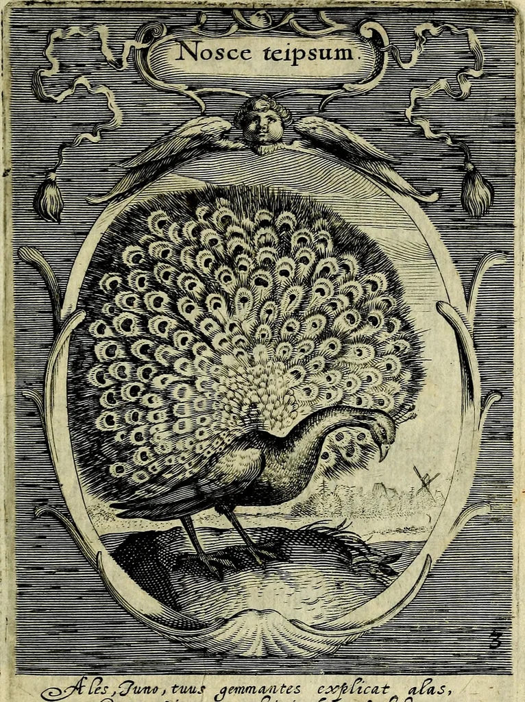 An illustration from Emblemata politica : in aula magna Curiae Noribergensis depicta, quae sacra viritutum suggerunt monita prudenter administrandi fortiterque defendendi rempublicam, 1617, leaf 26