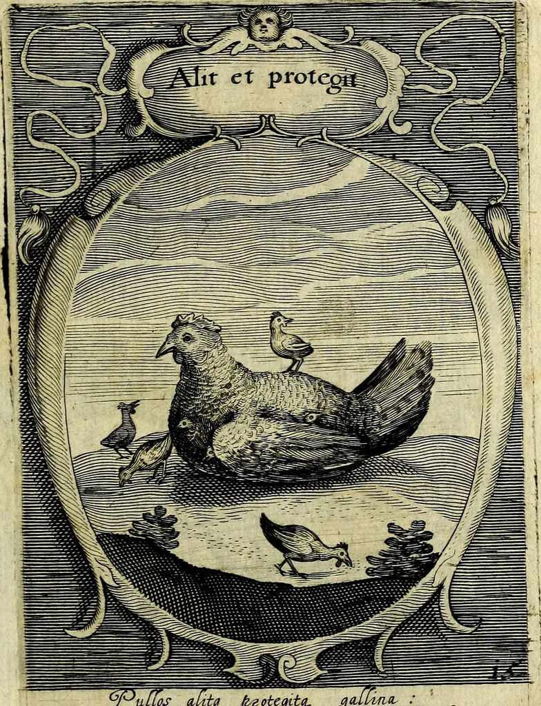 An illustration from Emblemata politica : in aula magna Curiae Noribergensis depicta, quae sacra viritutum suggerunt monita prudenter administrandi fortiterque defendendi rempublicam, 1617, leaf 50